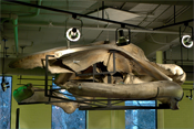 artifact mounts, exhibit consulting, large scale mount, Louisville Science Center